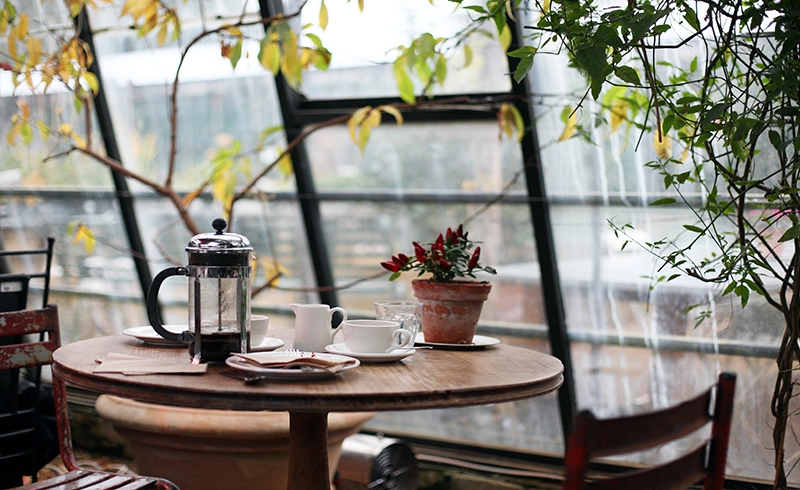 How can you turn your coffee shop into a must-go destination?