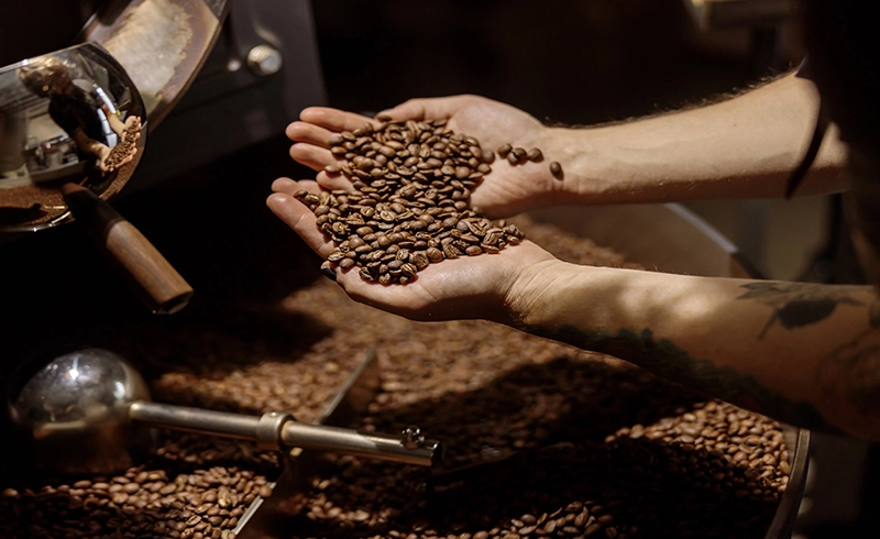 Know the importance of freshly roasted coffee